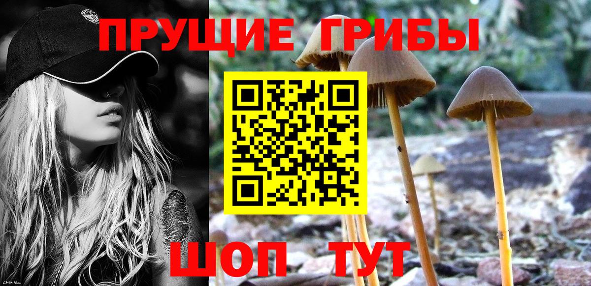 Галлюциногенные грибы MAGIC MUSHROOMS Воскресенск