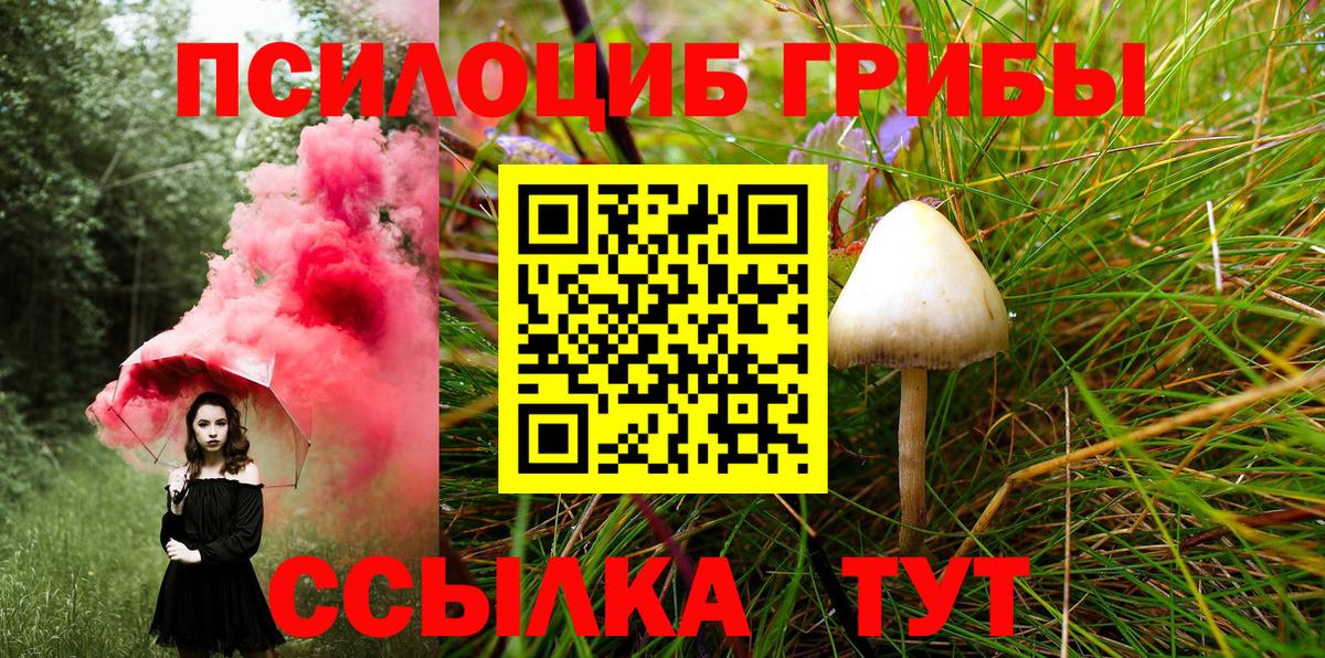 Галлюциногенные грибы мухоморы  Псилоцибиновые грибы прущие грибы  Воскресенск  Вход с VPN 